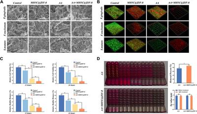 Debridement of contaminated implants using air-polishing coupled with pH-responsive maximin H5-embedded metal-organic frameworks